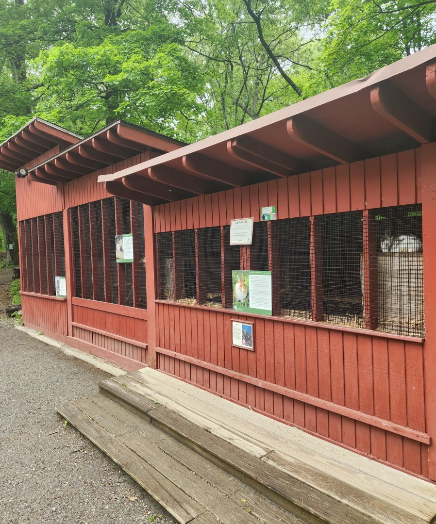 Teatown Lake Reservation - Small mammal exhibits