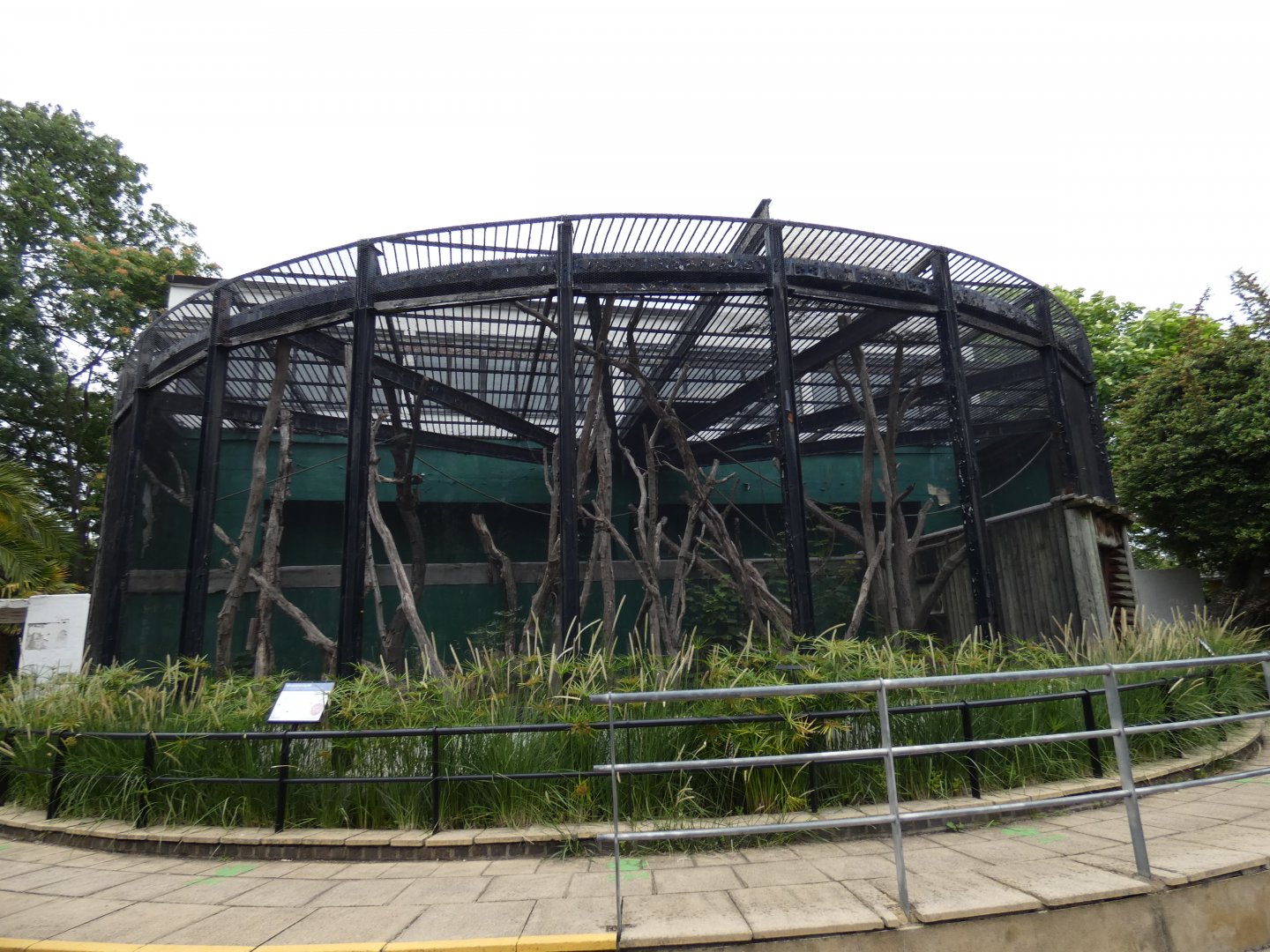 Tecton Gorilla House (now empty)