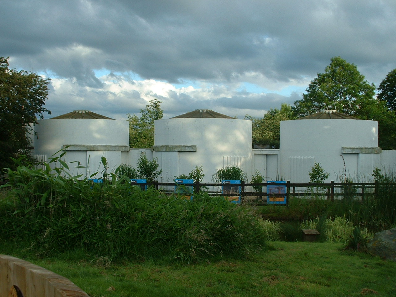 Tecton/ Lubetkin Elephant House (Disused) - Whipsnade 2007