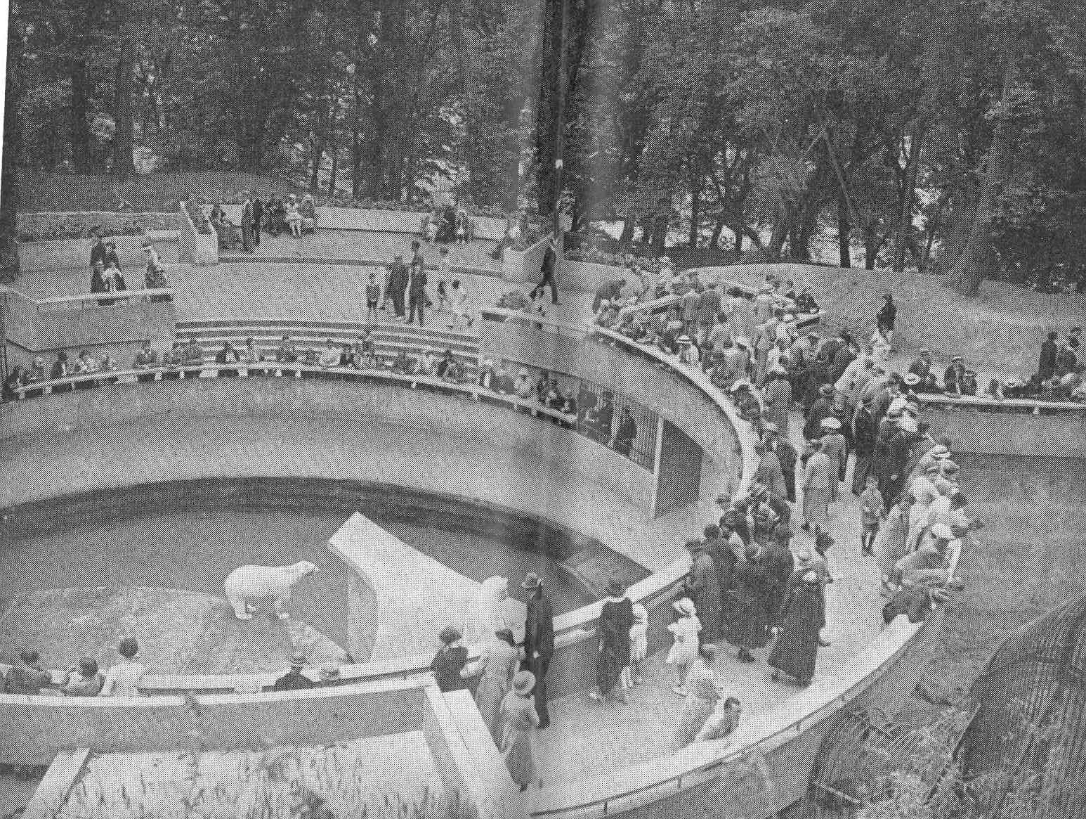Tecton Polar Bear Pit - Dudley Zoo c1935