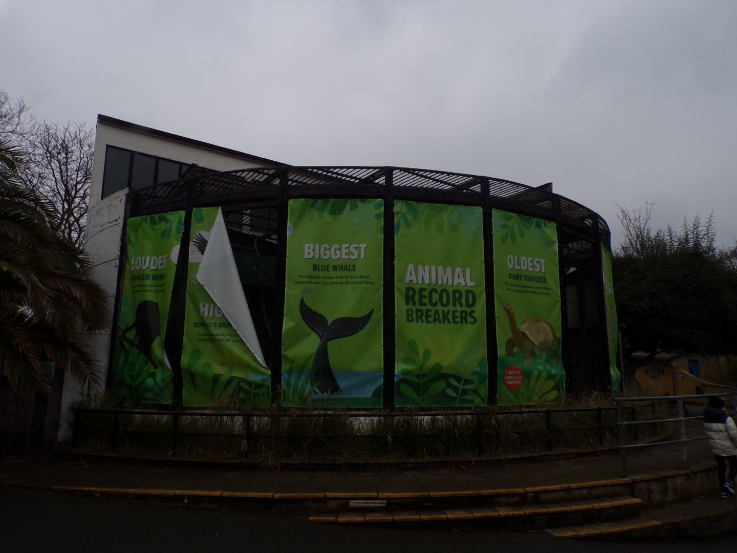 Tecton roundhouse 11.2.25