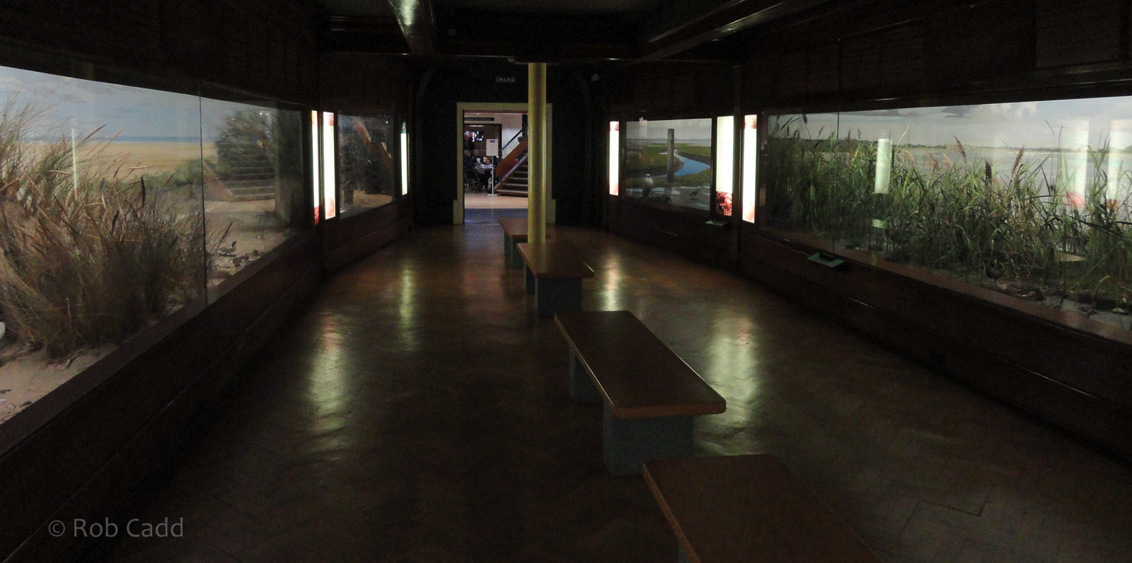 Ted Ellis Norfolk Room : Norwich Castle Museum : 26 Mar 2016