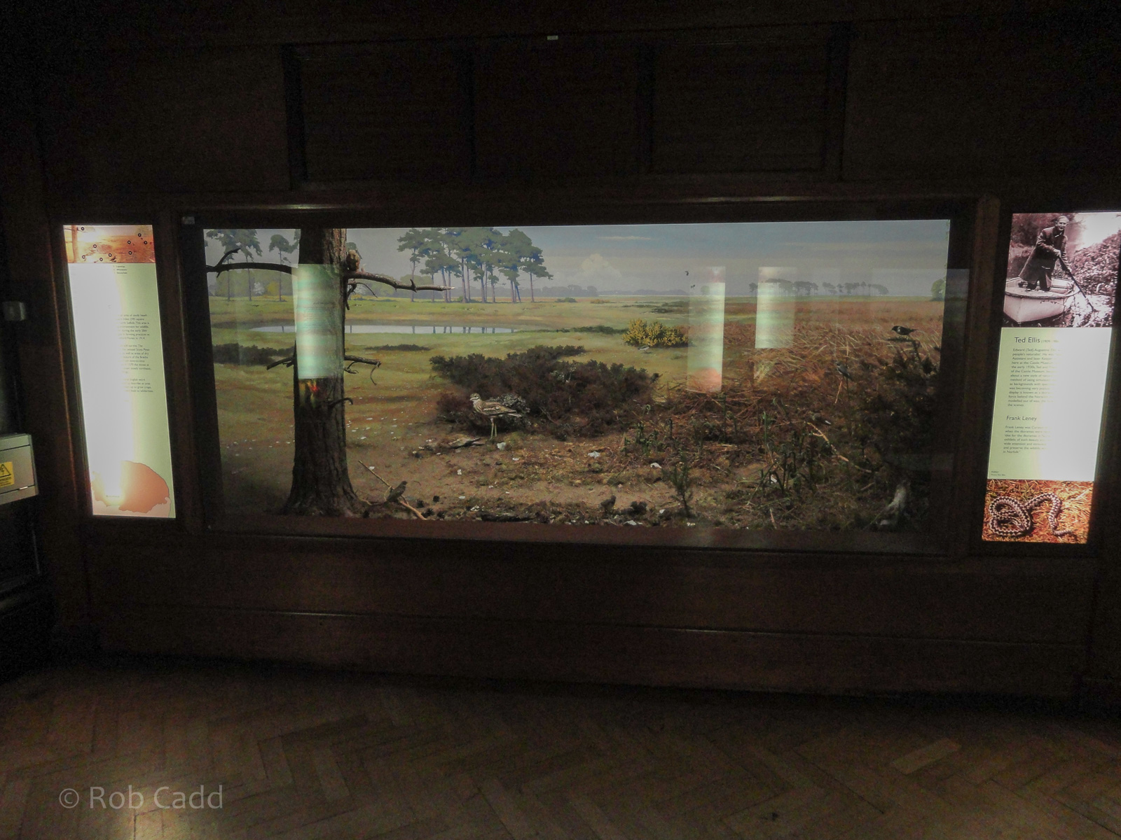 Ted Ellis Room : Norwich Castle Museum : 26 Mar 2016