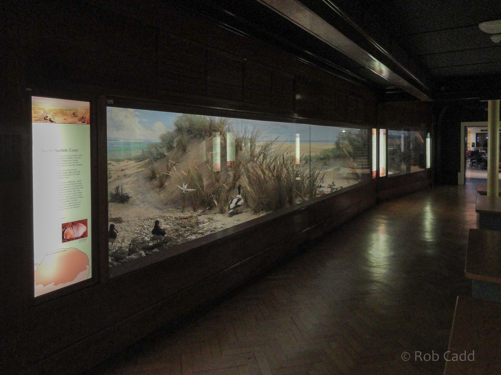 Ted Ellis Room : Norwich Castle Museum : 26 Mar 2016