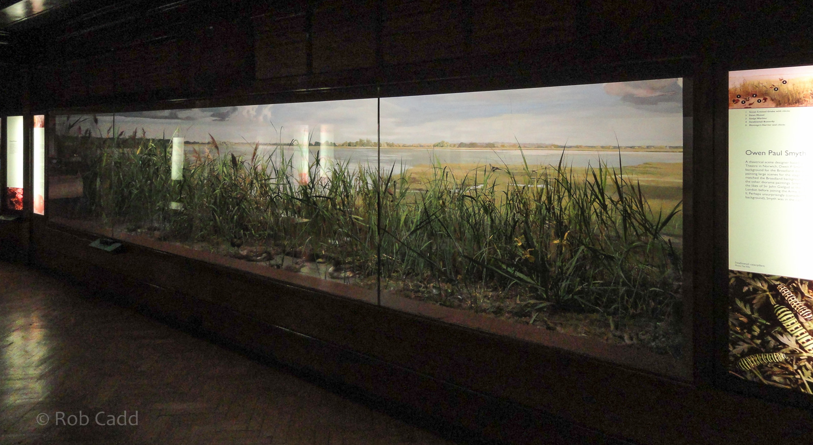 Ted Ellis Room : Norwich Castle Museum : 26 Mar 2016