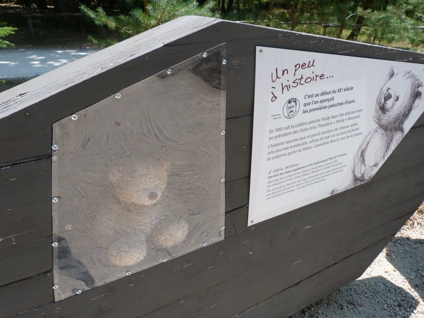 Teddy bear history and display case -Zoodyssée (2025)