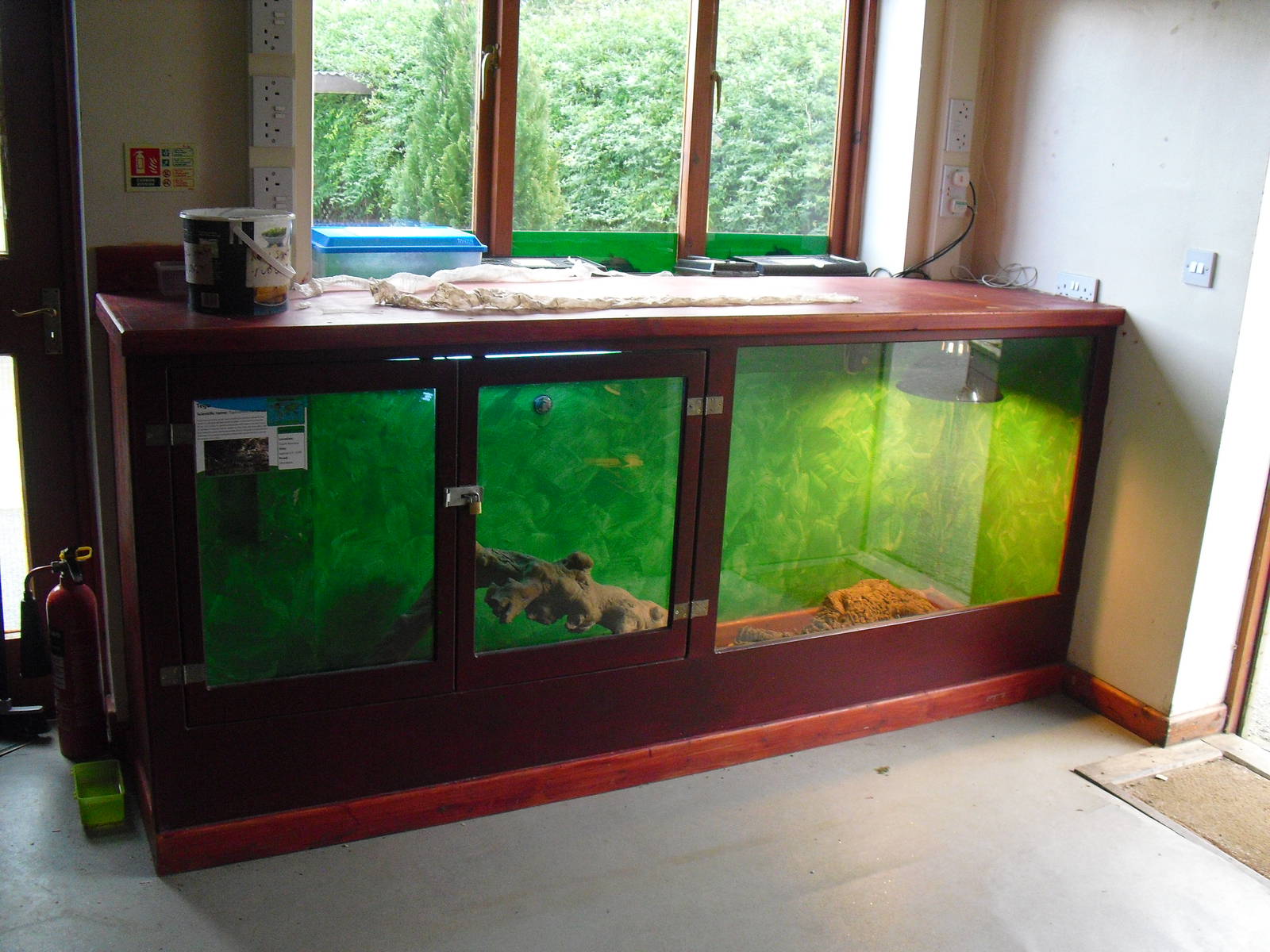 Tegu Enclosure - 16/10/2011