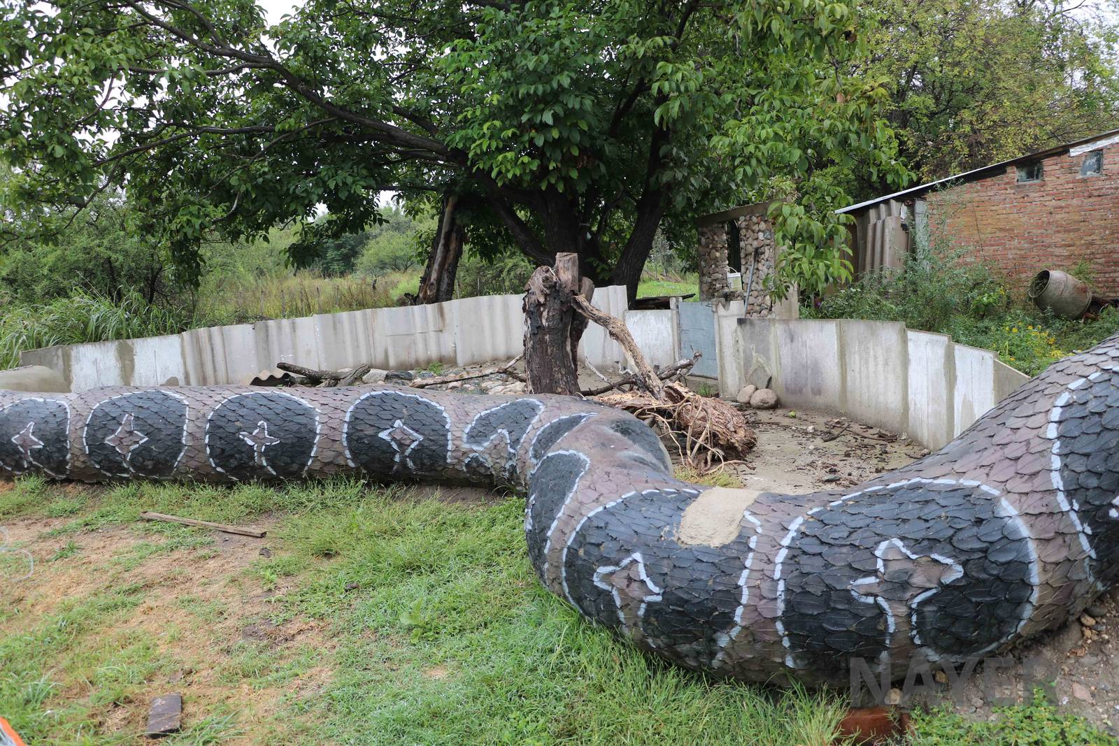 Tegu enclosure, Serpentario Machaqway - April 2016.