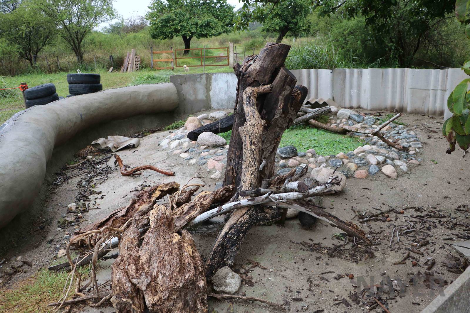 Tegu enclosure, Serpentario Machaqway - April 2016.