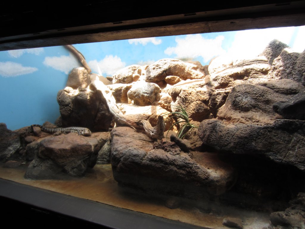 Tegu tank