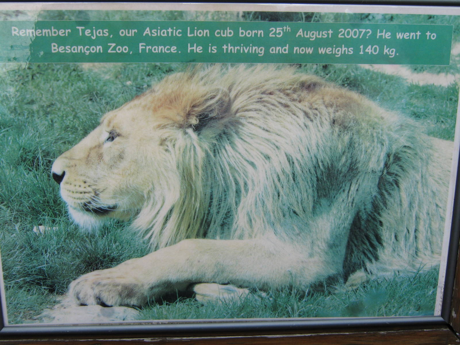 Tejas update plaque 3.8.09