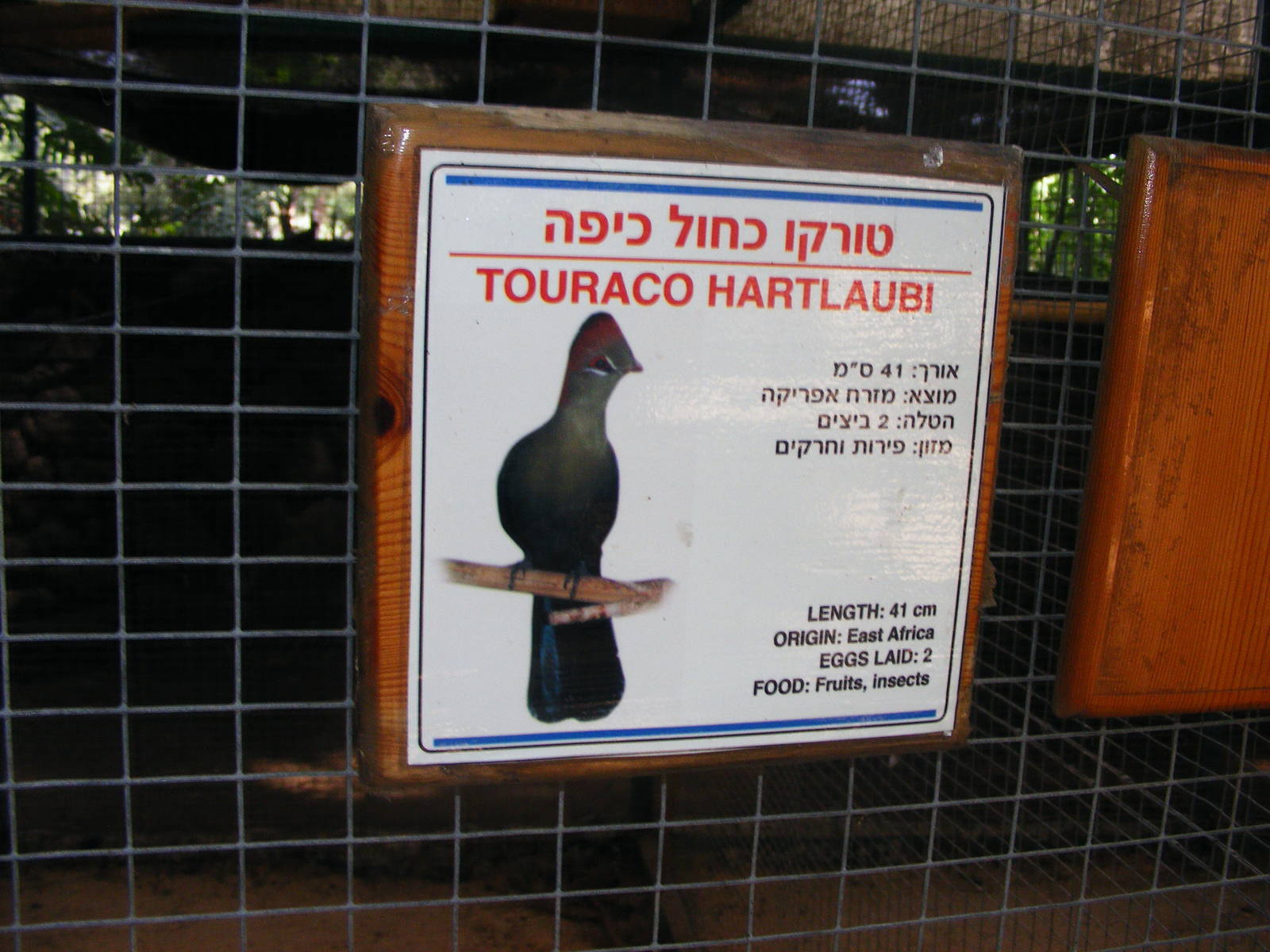 Tel Aviv bird park Zapari 24.8.10