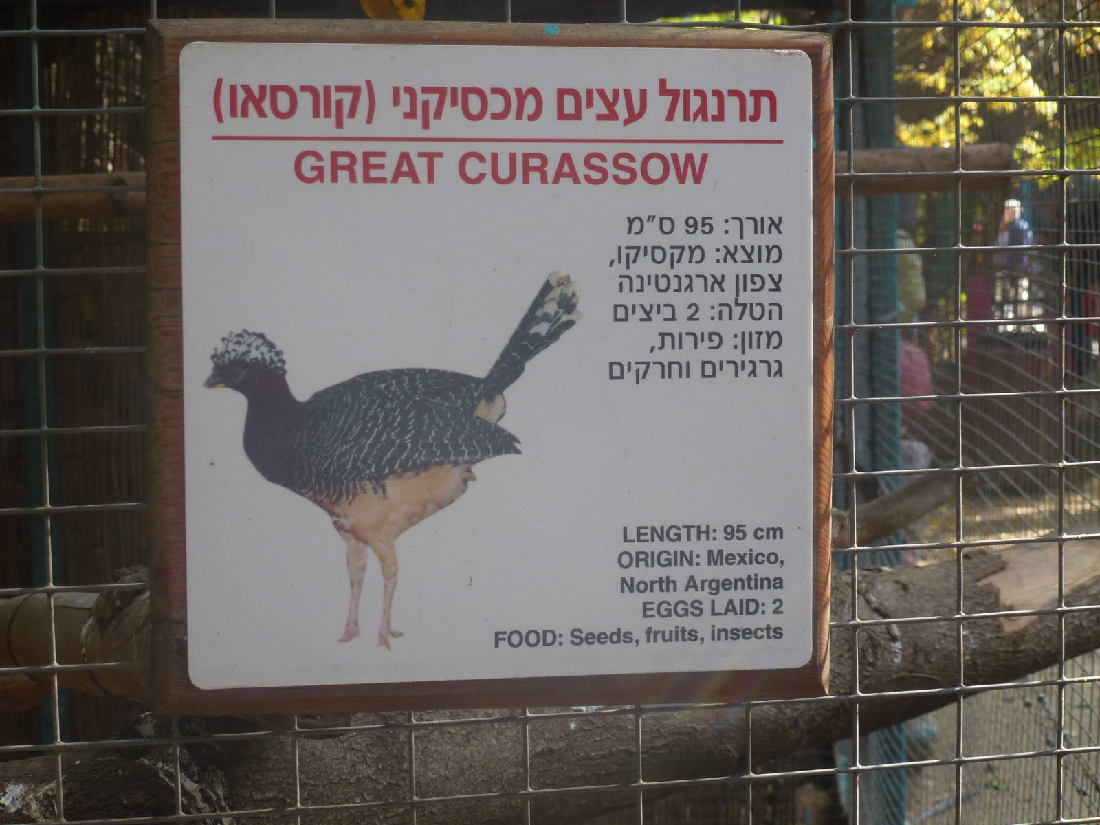 Tel Aviv bird park Zapari 29.12.12