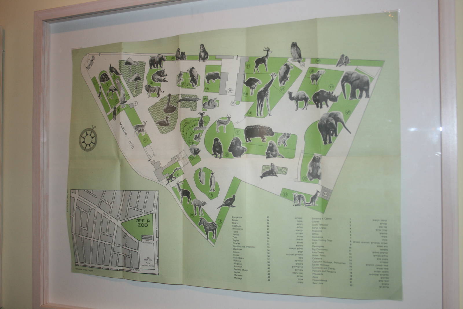 tel aviv zoo (closed) exhibition