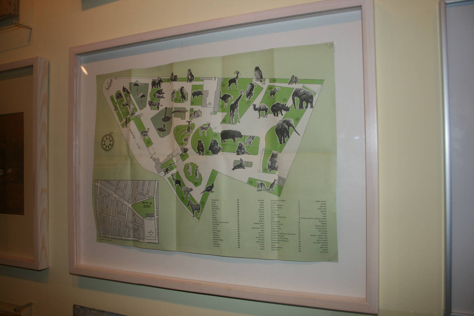 tel aviv zoo (closed) exhibition