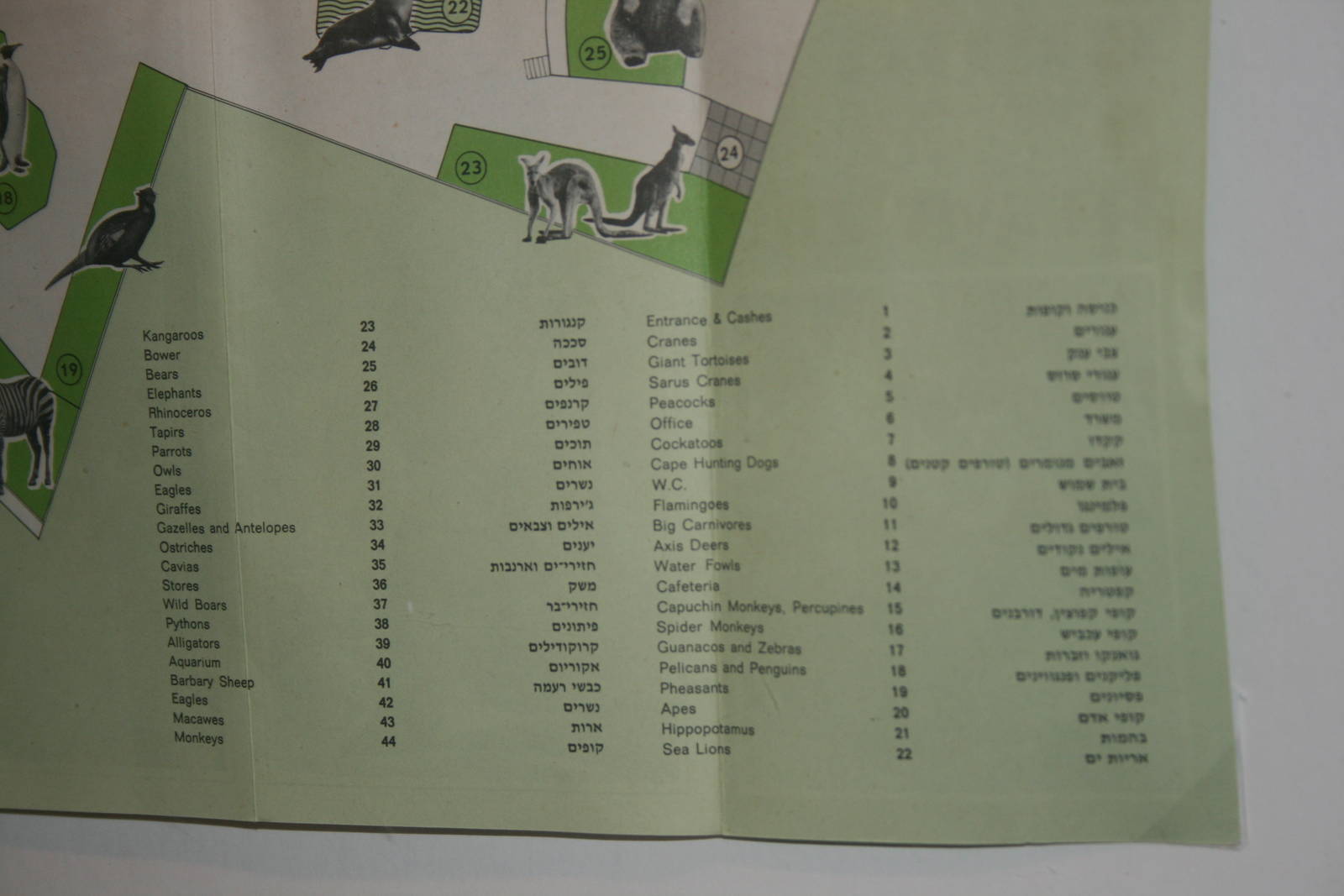 tel aviv zoo (closed) exhibition