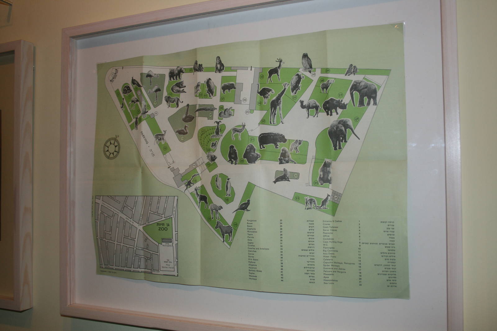 tel aviv zoo (closed) exhibition