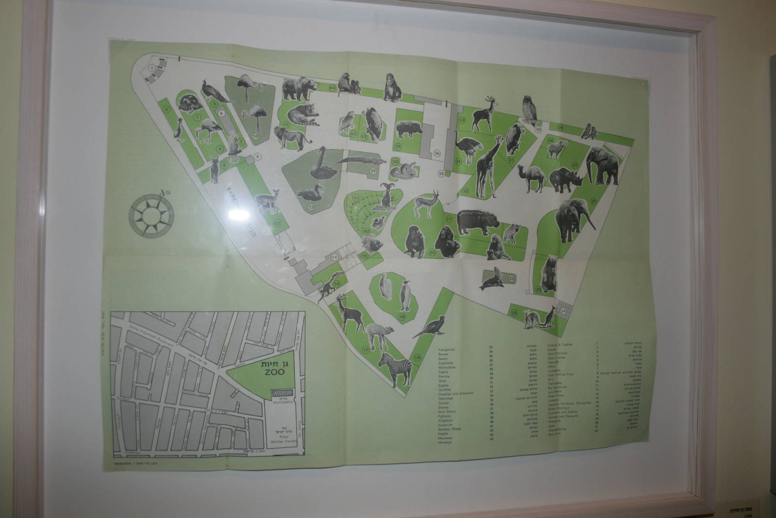 tel aviv zoo (closed) exhibition