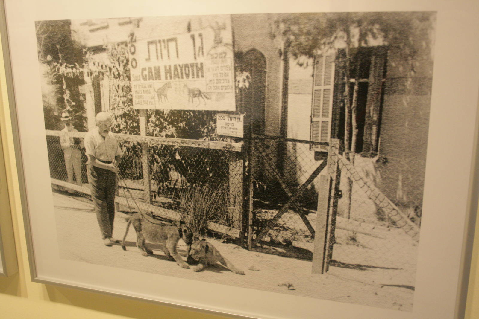 tel aviv zoo (closed) exhibition
