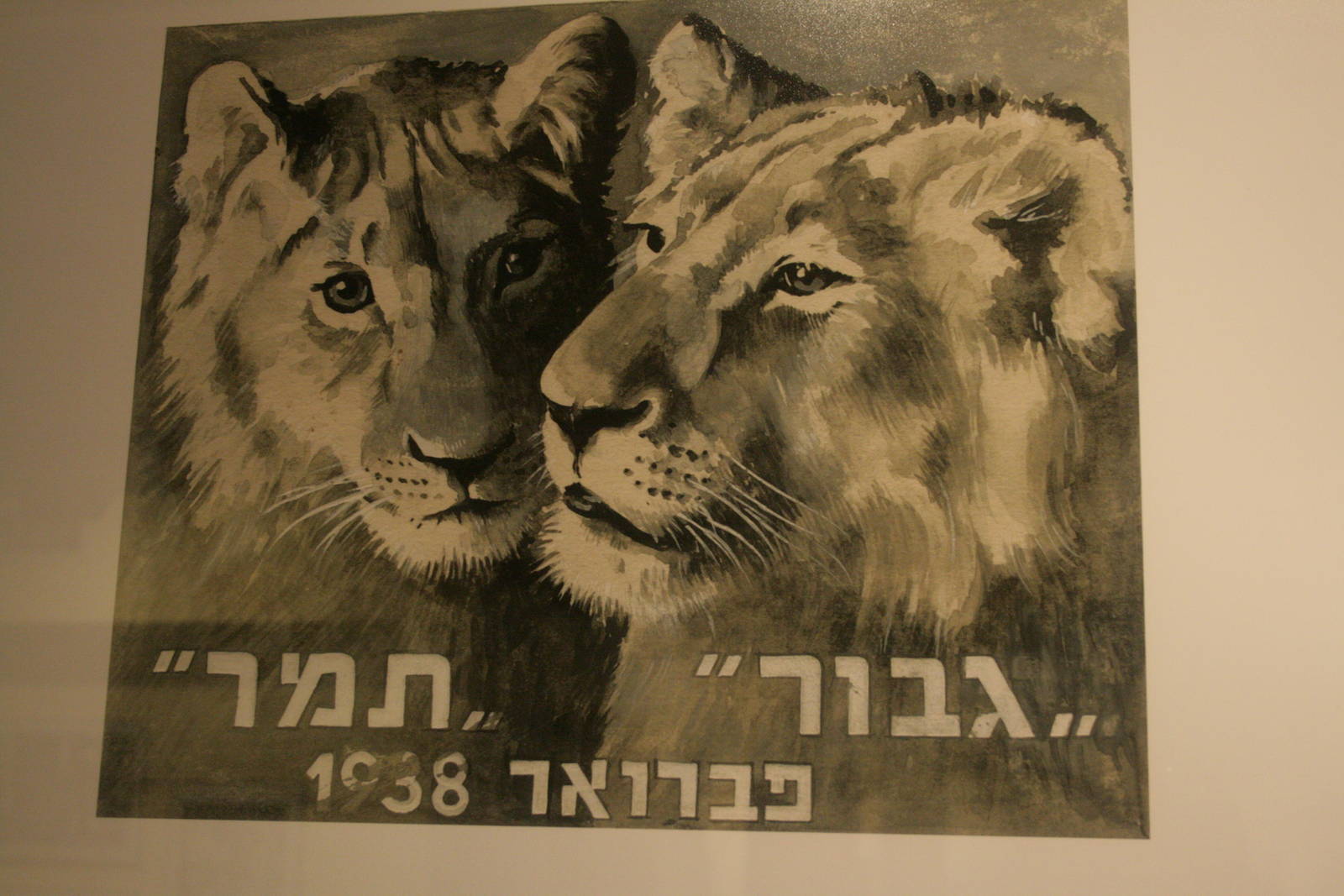 tel aviv zoo (closed) exhibition