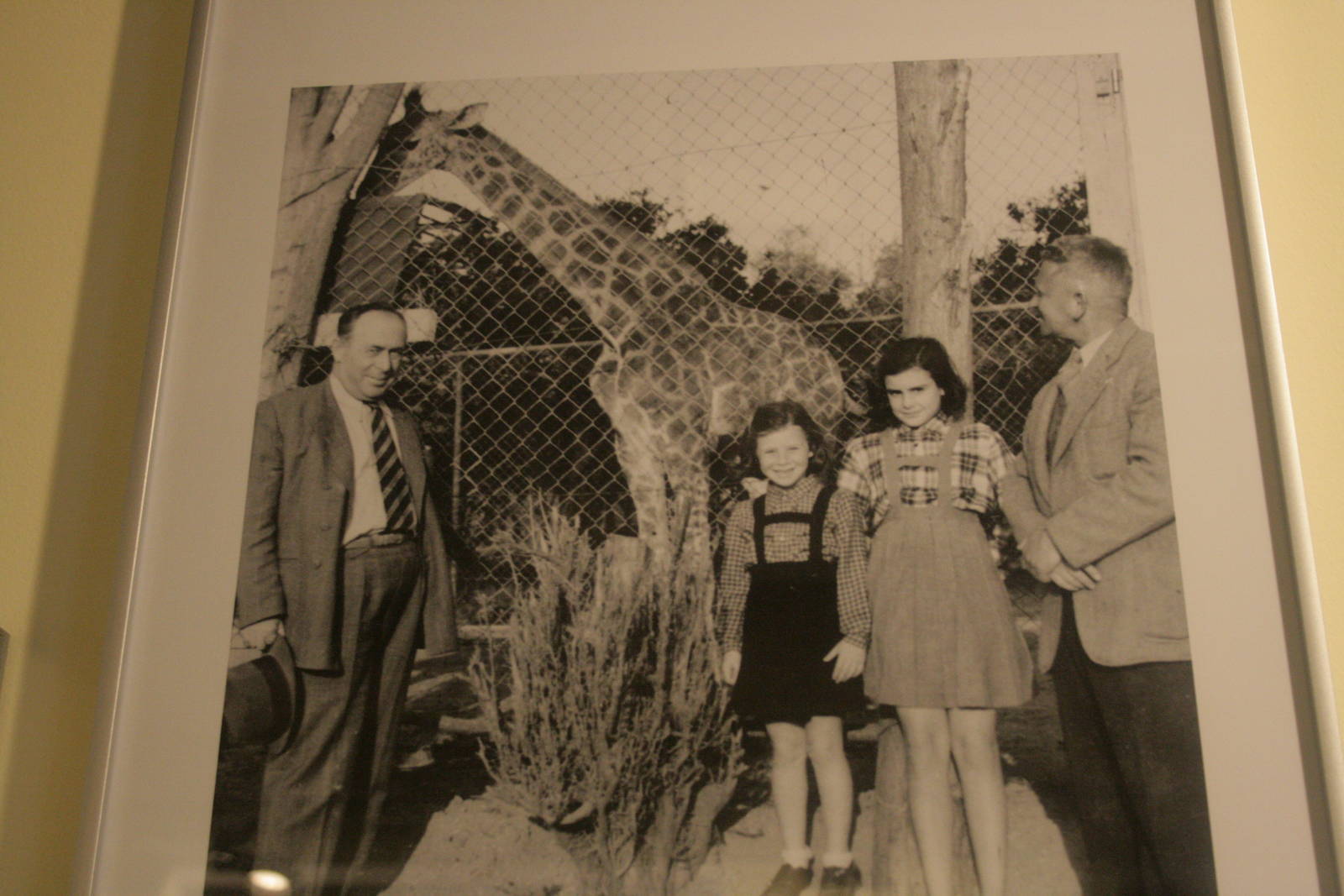 tel aviv zoo (closed) exhibition