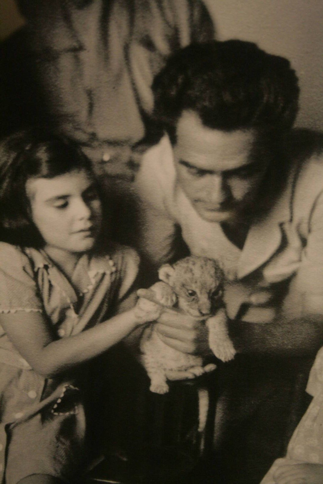 tel aviv zoo (closed) exhibition