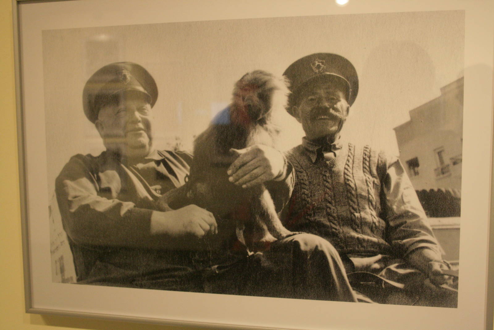 tel aviv zoo (closed) exhibition