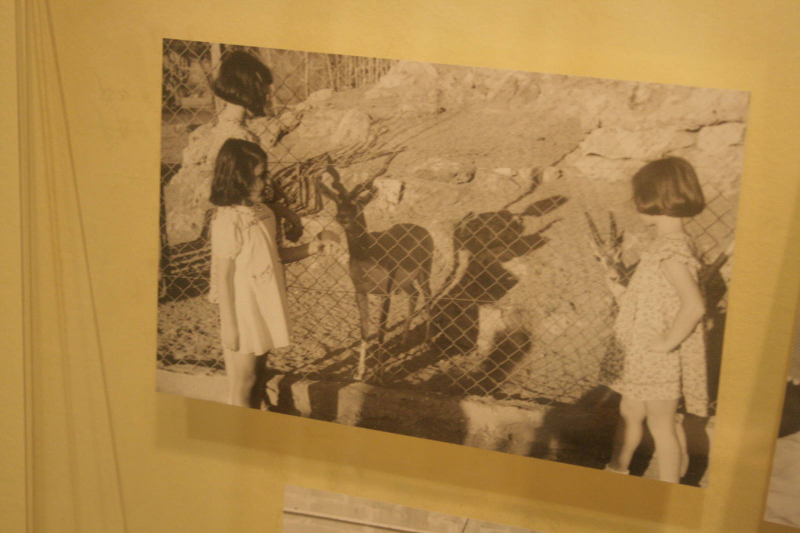 tel aviv zoo (closed) exhibition
