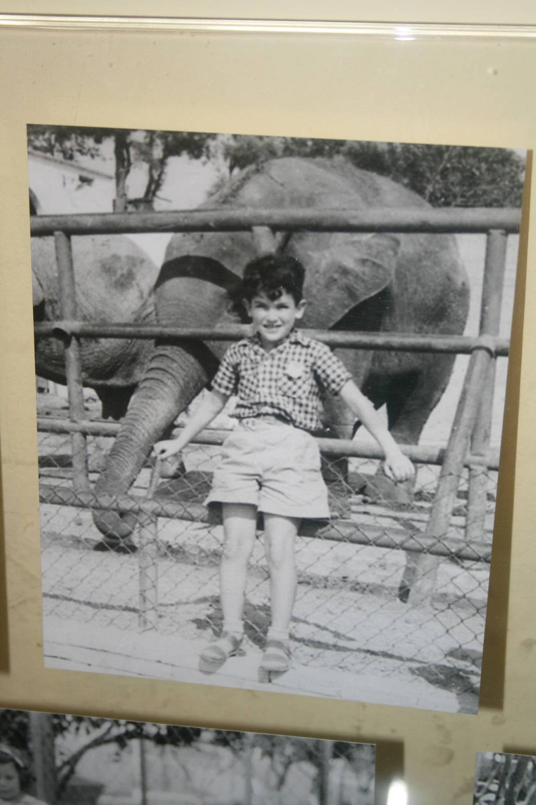 tel aviv zoo (closed) exhibition