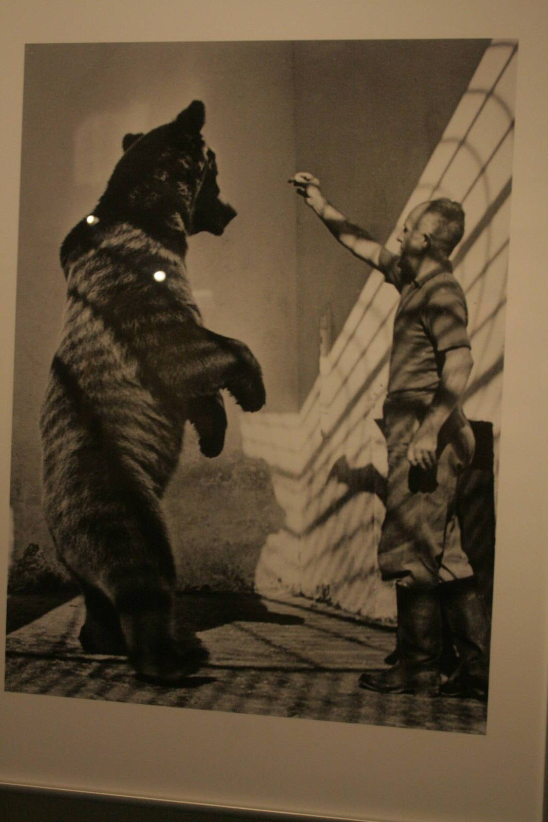 tel aviv zoo (closed) exhibition