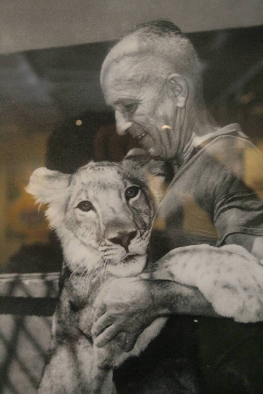 tel aviv zoo (closed) exhibition