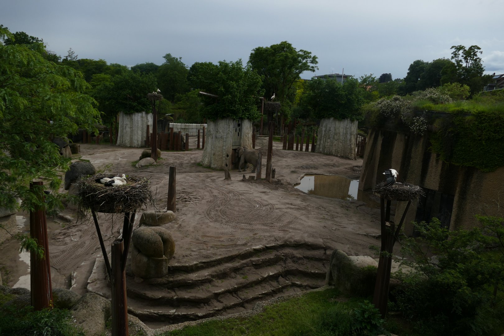 Tembea- Elephant enclosure
