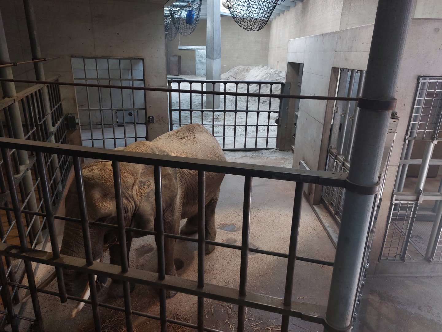 Tembea - Elephant training box