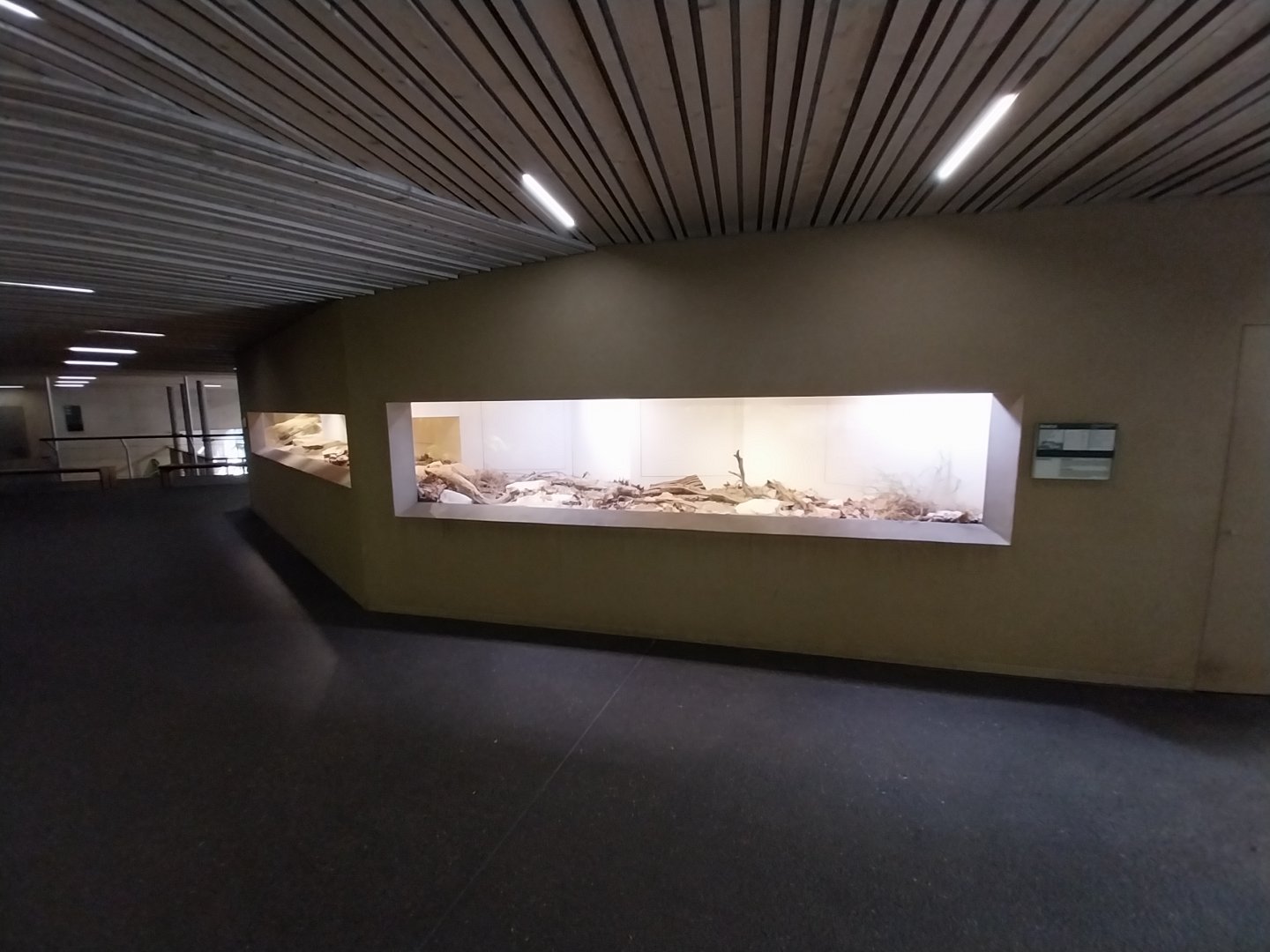 Tembea enclosure - Exhibit for harvester ants