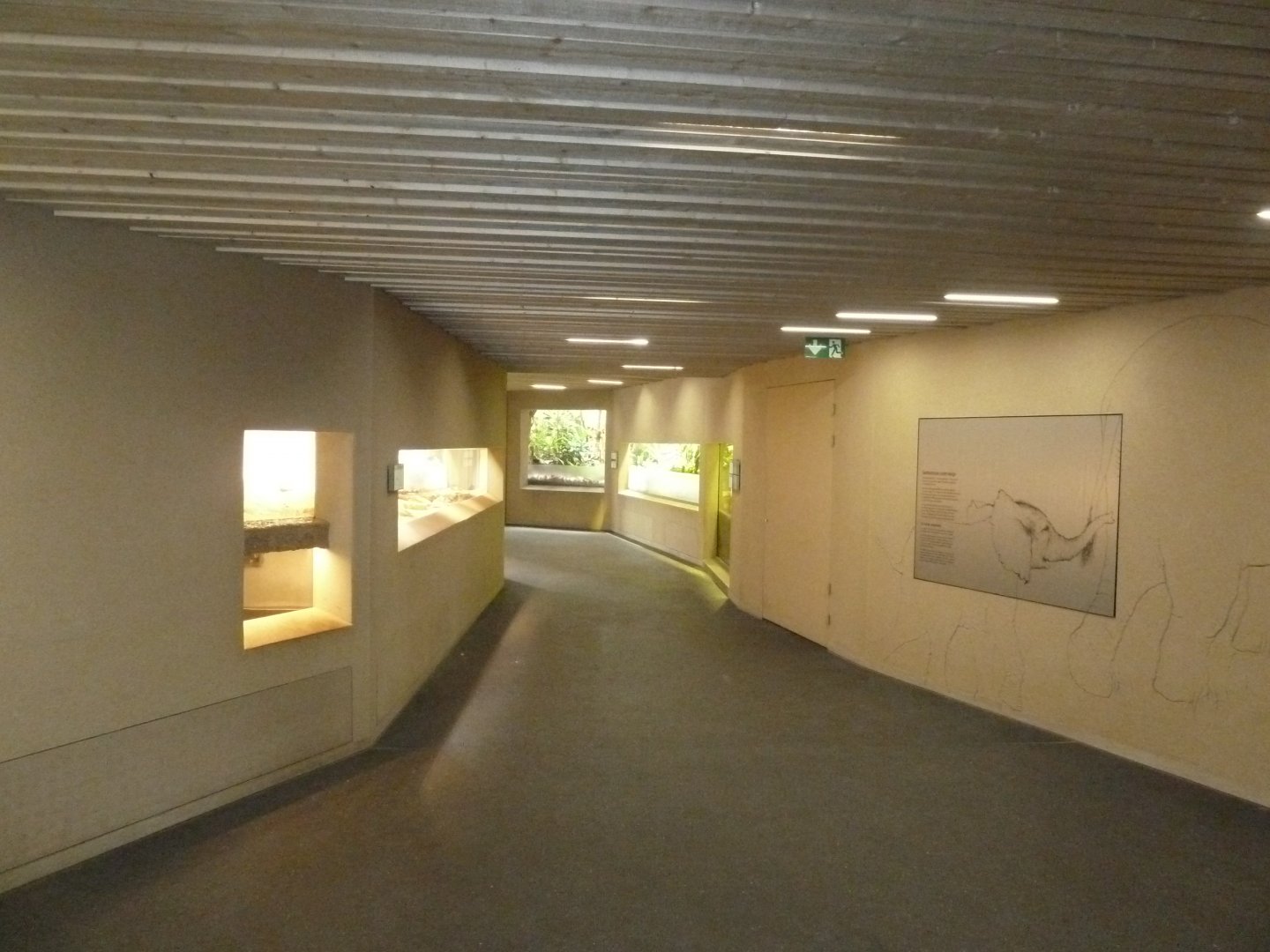 Tembea enclosure - Visitor area