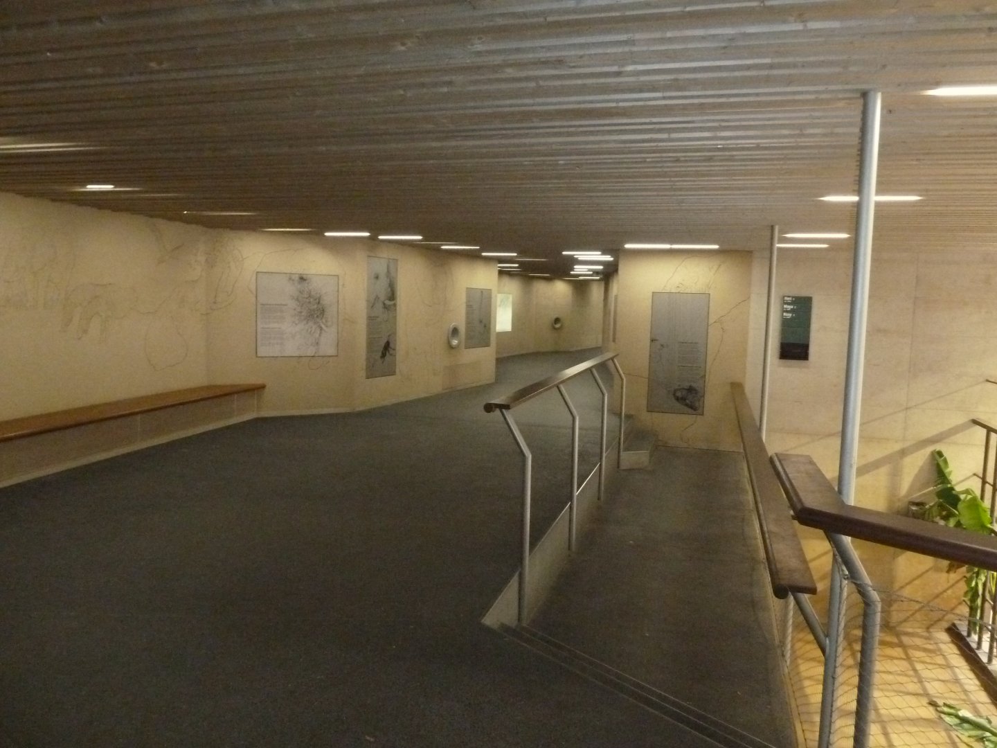 Tembea enclosure - Visitor area