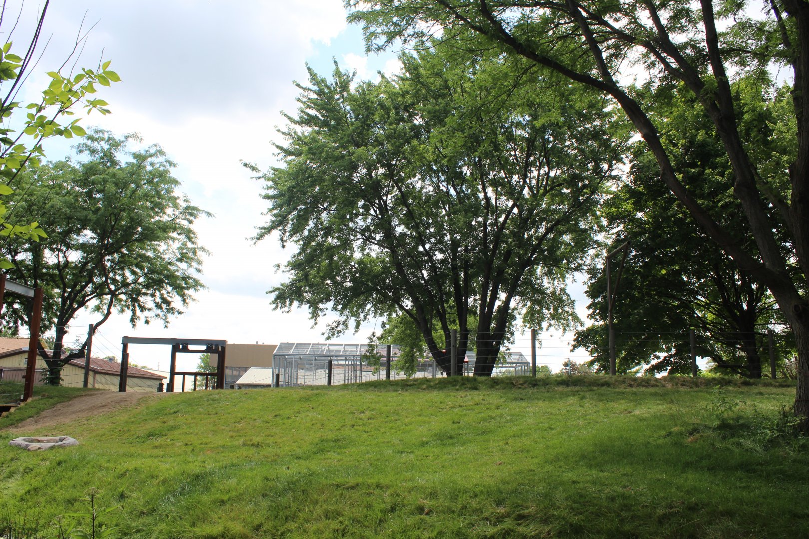 Tembo Camp - African Elephant Exhibit (New in 2020)