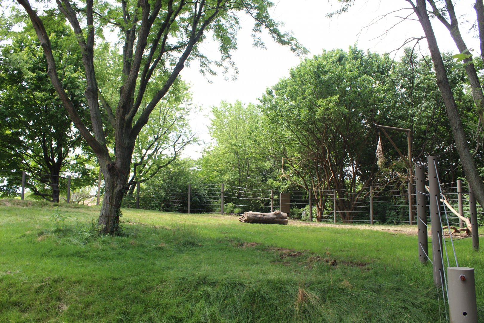 Tembo Camp - African Elephant Exhibit (New in 2020)