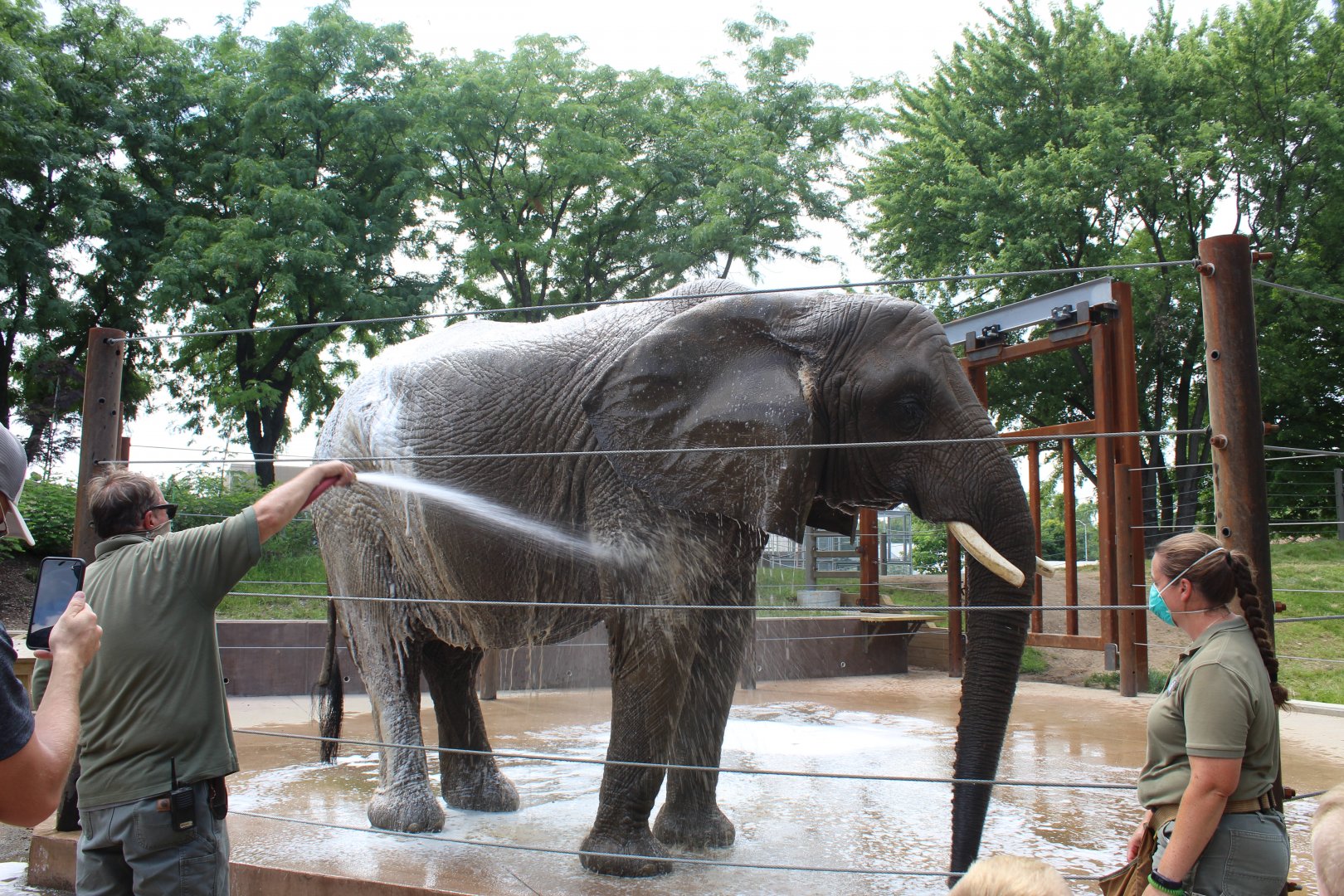 Tembo Camp - Elephant Bath (New in 2020)