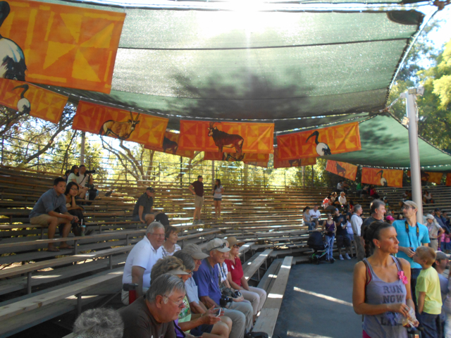 Tembo Stadium November 2014