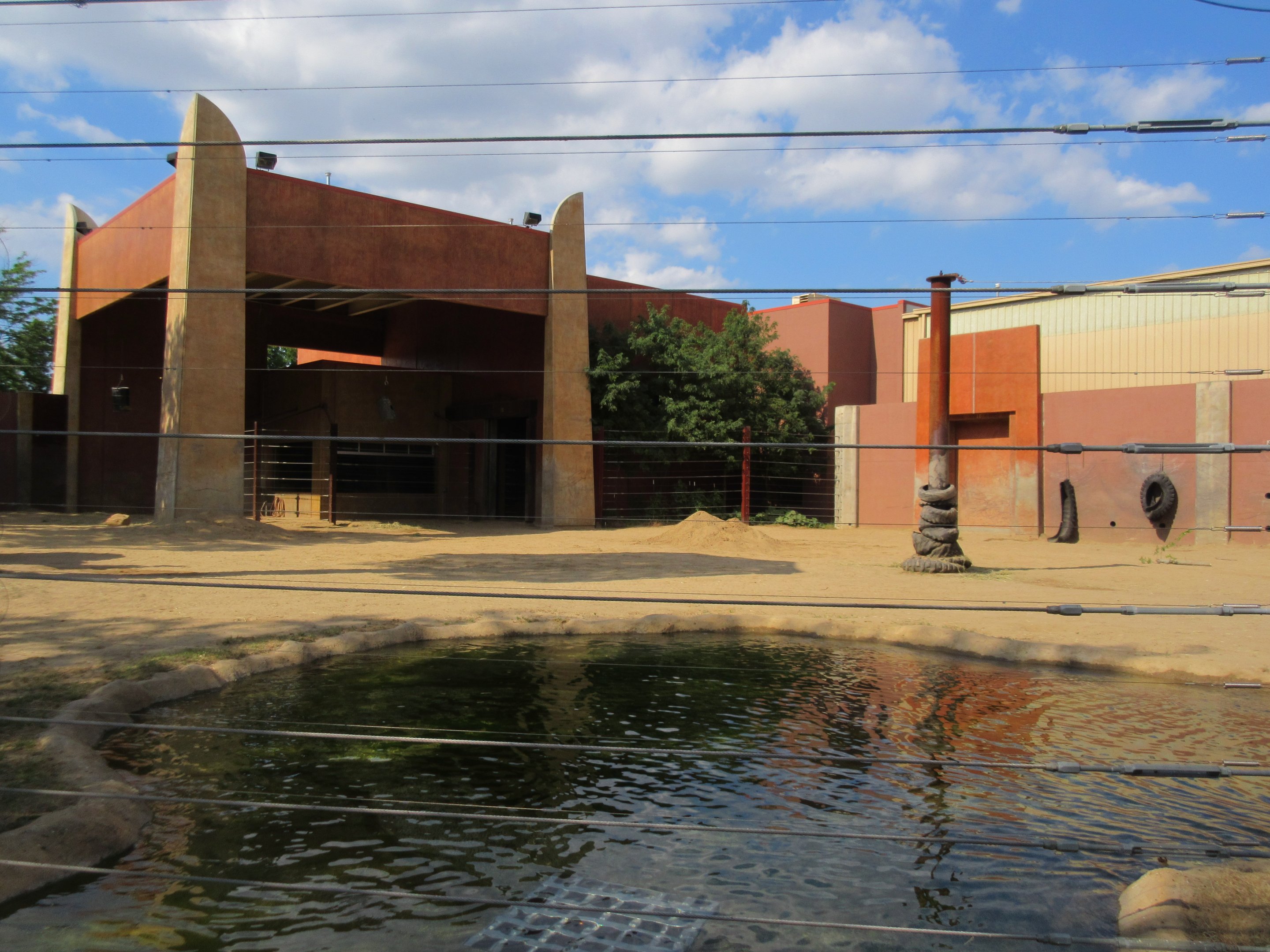 Tembo Trail - African Elephant Exhibit