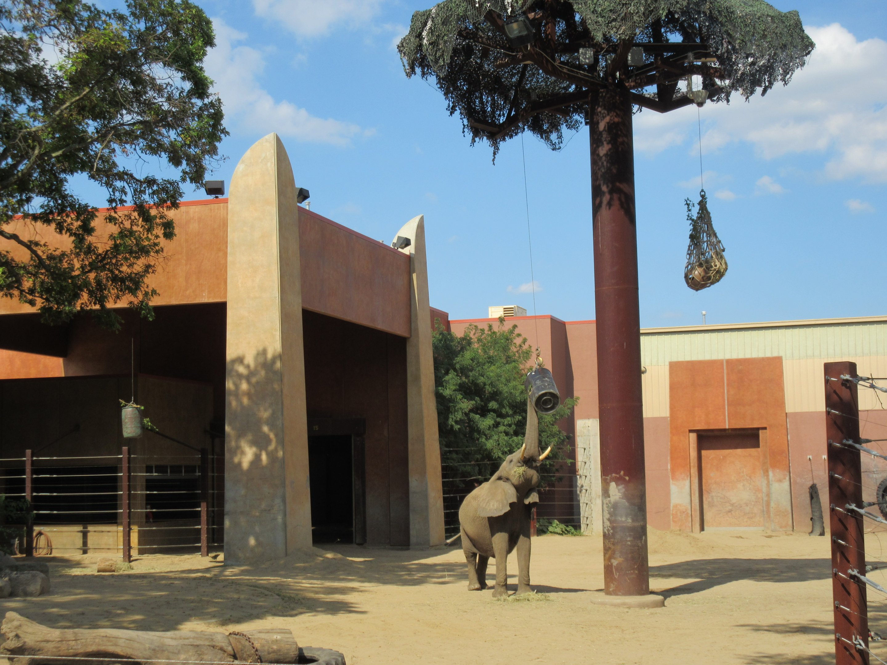Tembo Trail - African Elephant Exhibit