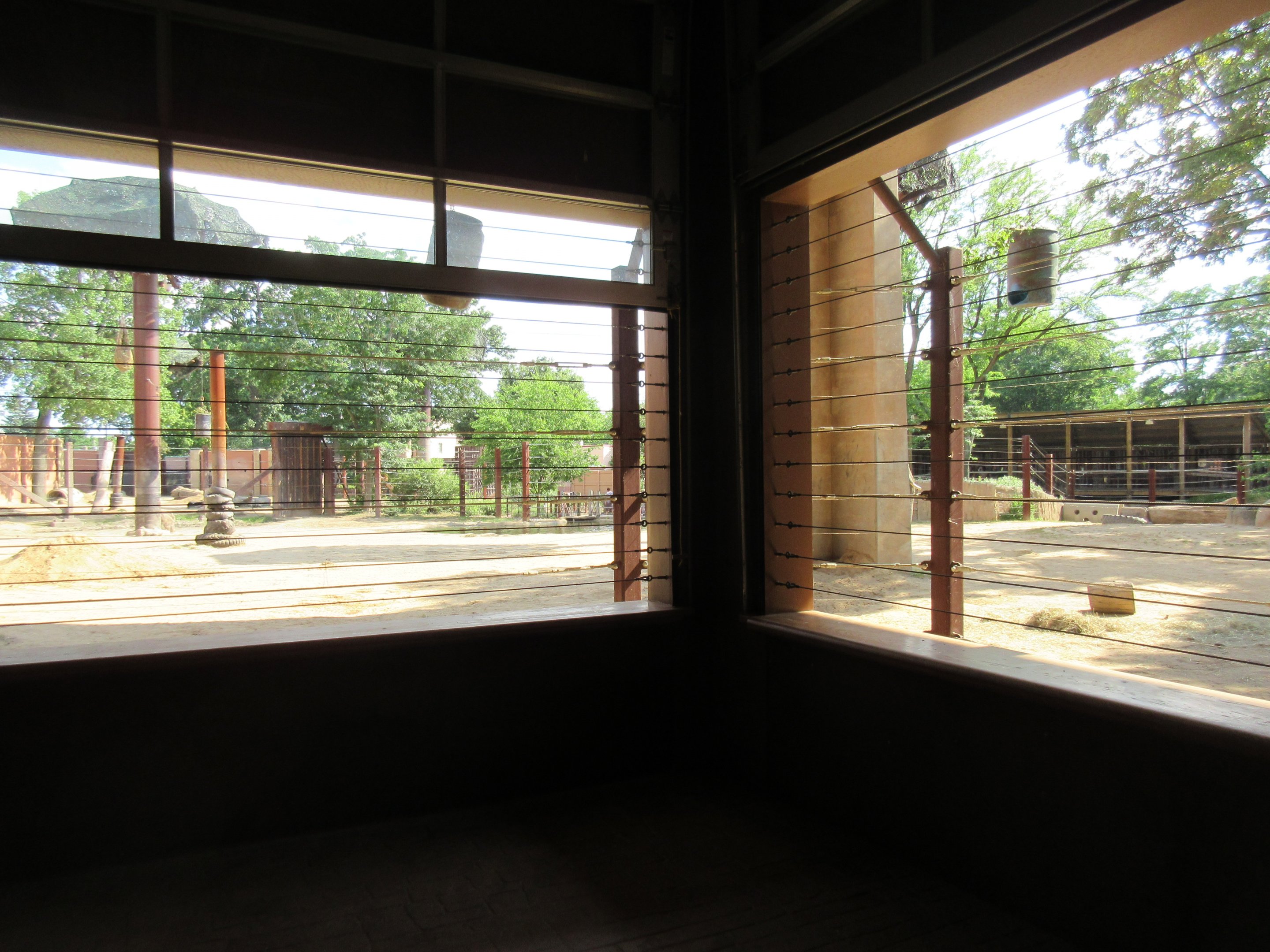 Tembo Trail - African Elephant Exhibit