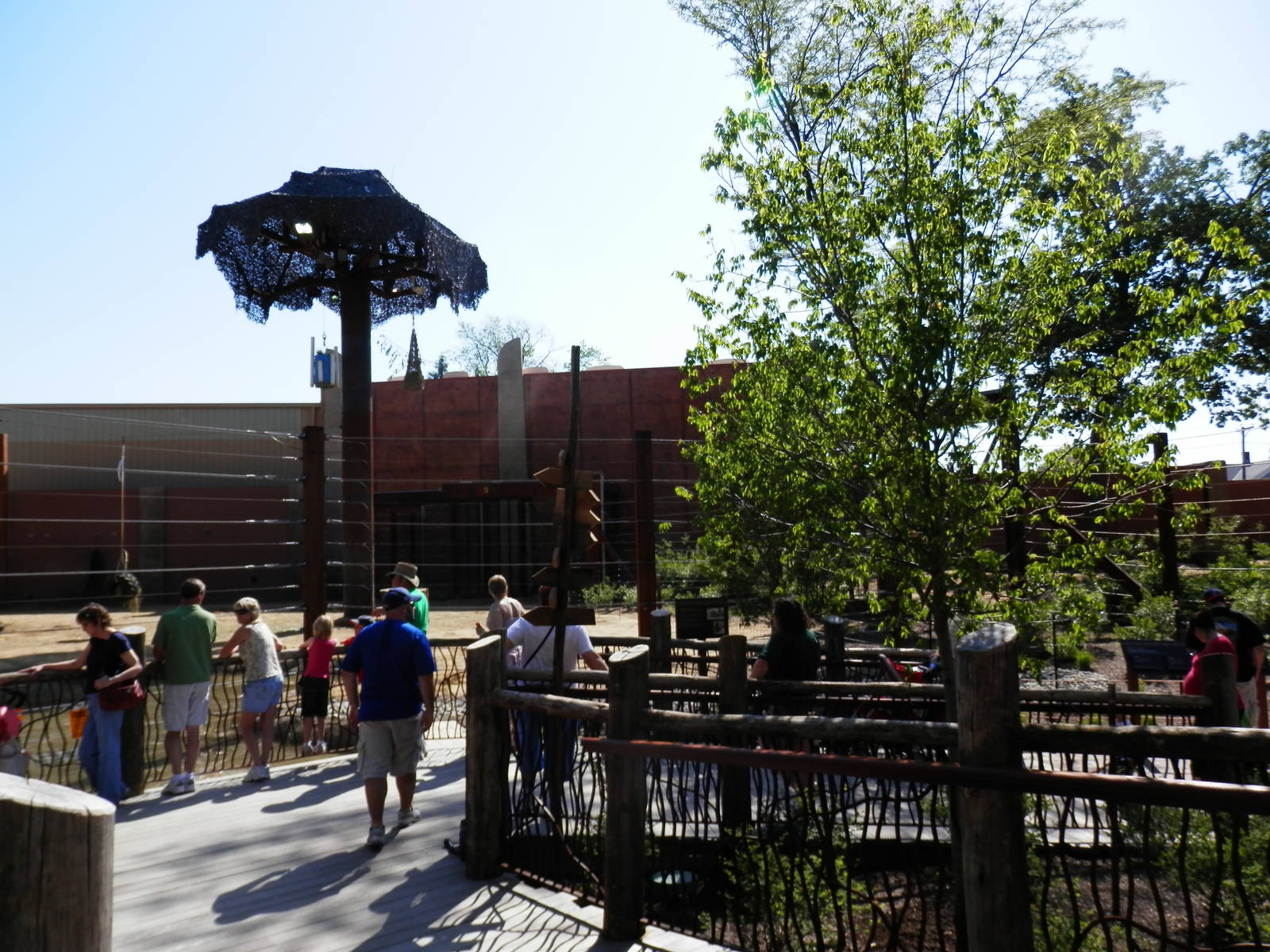 Tembo Trail-elephant yard