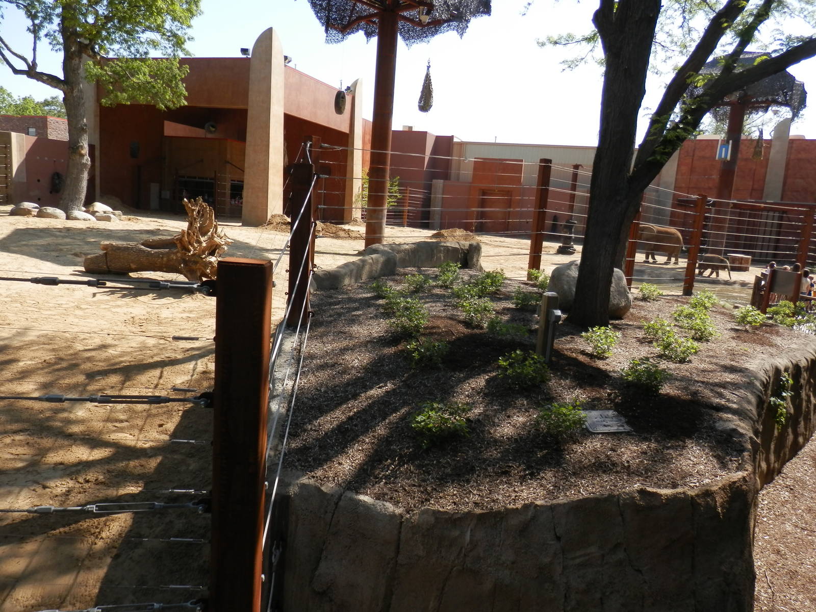 Tembo Trail-elephant yard