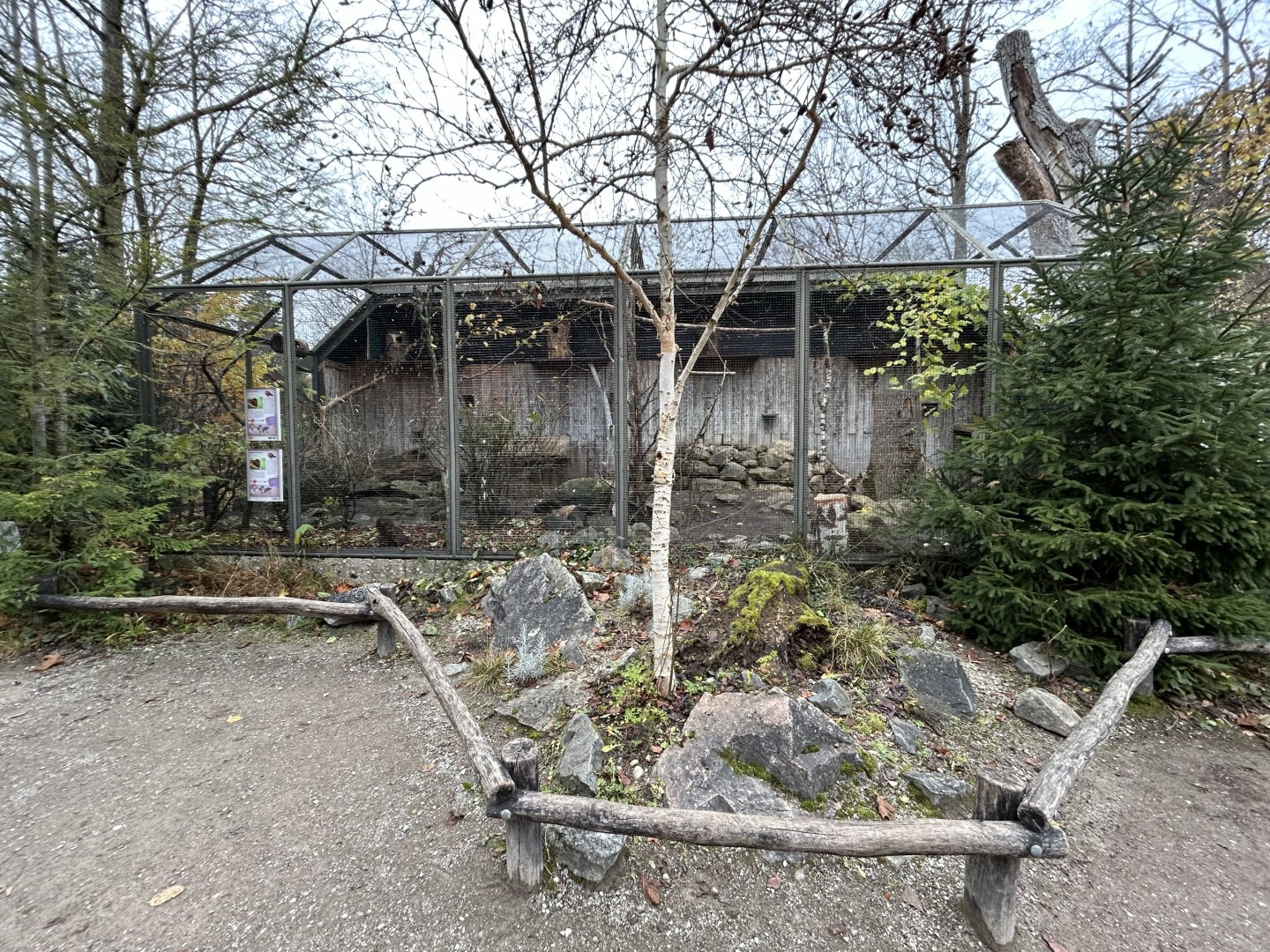 Temminck’s Tragopan & Lord Derby’s Parakeet Aviary