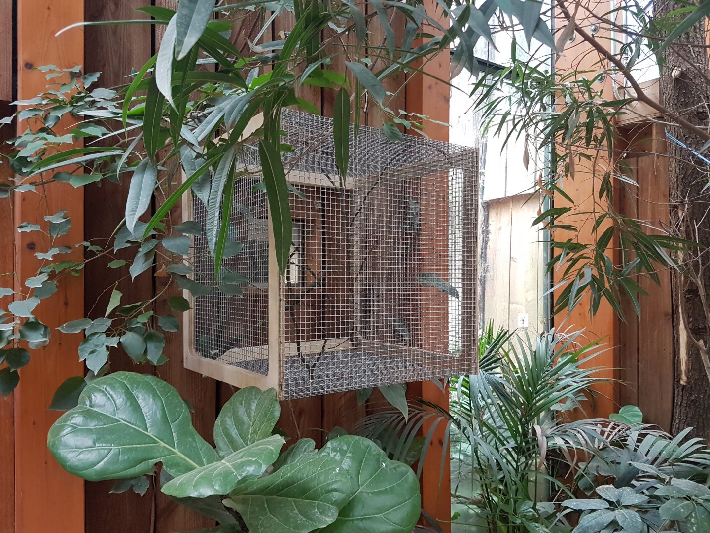 Temperaly Weaver-enclosure