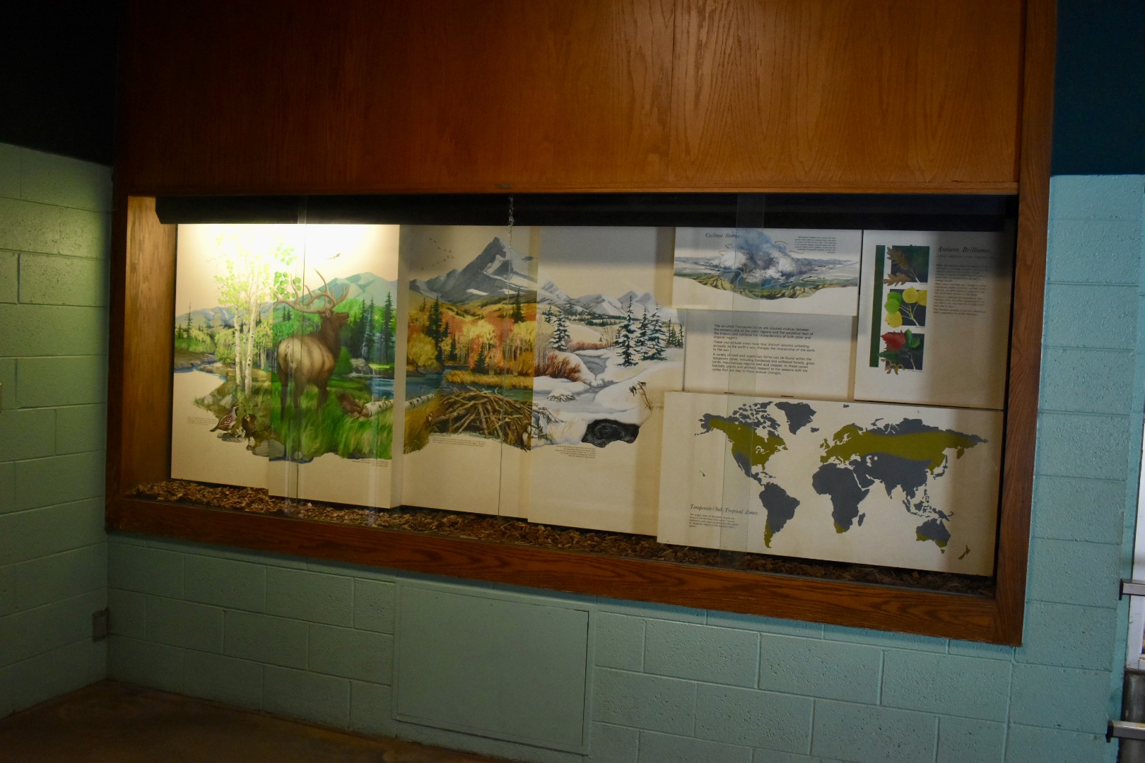 Temperate Display - Temperate Zone - Small Animal Building