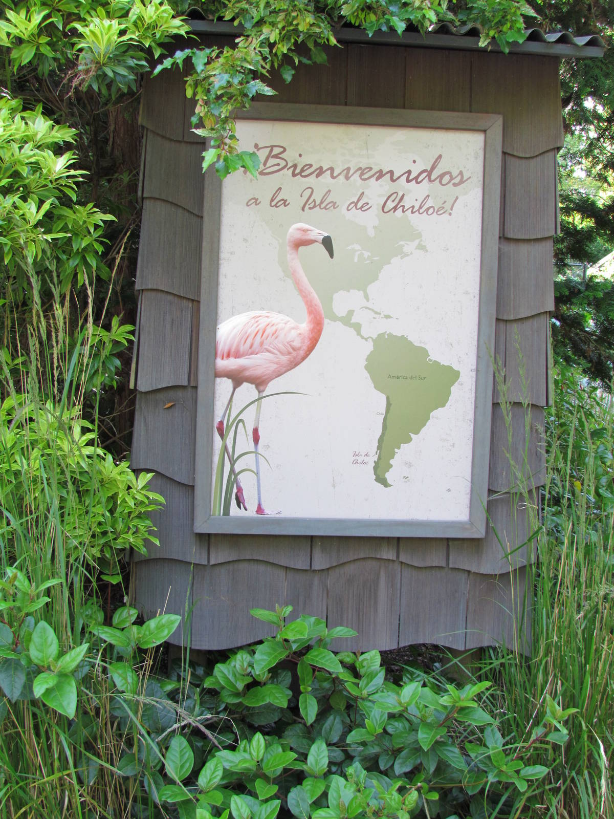 Temperate Forest - Chilean Flamingo Exhibit