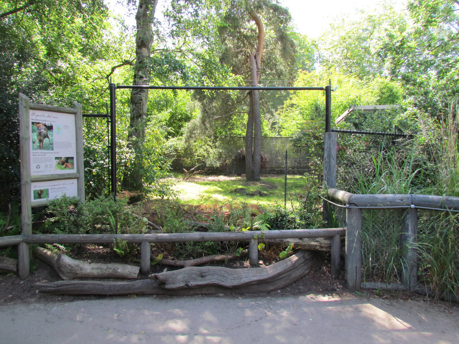 Temperate Forest - Chilean Pudu Exhibit
